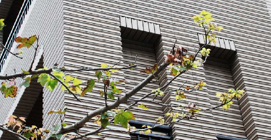 用傳統磚材豐富建築的表情，用綠色環保塗料改變空氣的品質，讓生活品質變得更健康。